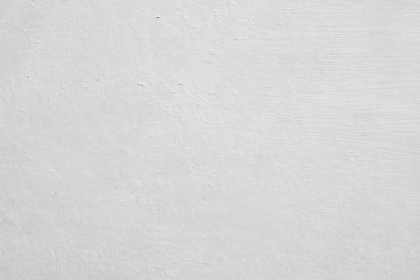 Best Black Mold Removal  in USA